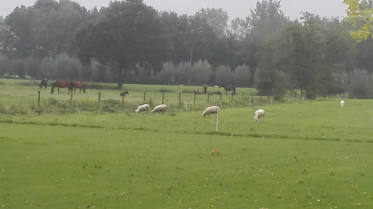 De Weije Wereld Bed and Breakfast Sint-Oedenrode Buitenkant foto